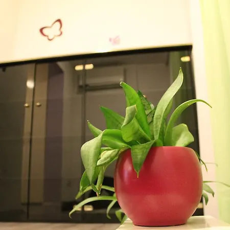 Apartment Spacious Ivan Split